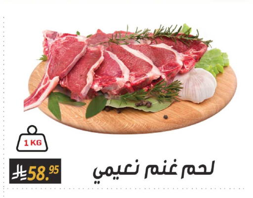 available at سنام سوبرماركت in مملكة العربية السعودية, السعودية, سعودية - مكة المكرمة
