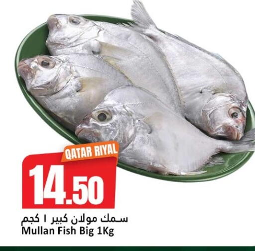 available at دانة هايبرماركت in قطر - أم صلال