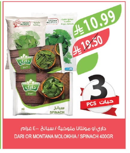 Spinach available at Farm  in KSA, Saudi Arabia, Saudi - Al-Kharj