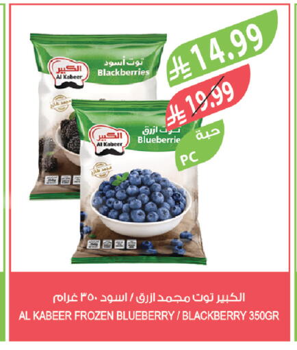 Blueberry BlueBerry Blackberry available at Farm  in KSA, Saudi Arabia, Saudi - Al-Kharj