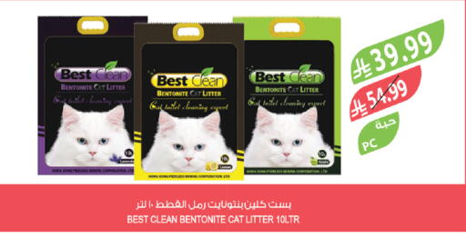 available at Farm  in KSA, Saudi Arabia, Saudi - Al-Kharj