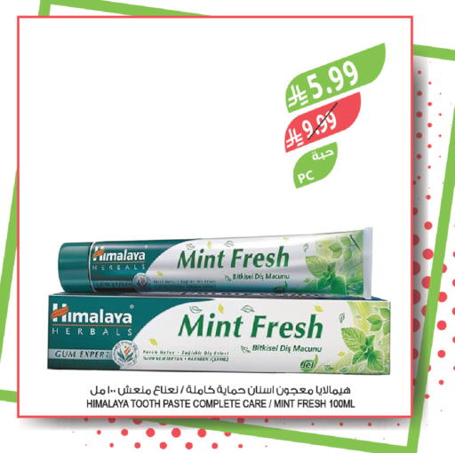 Mint available at Farm  in KSA, Saudi Arabia, Saudi - Al-Kharj