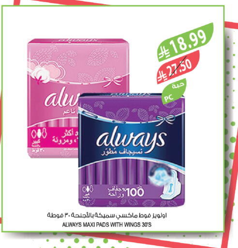 available at Farm  in KSA, Saudi Arabia, Saudi - Al-Kharj