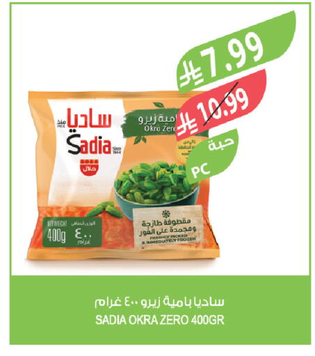 Okra available at Farm  in KSA, Saudi Arabia, Saudi - Al-Kharj
