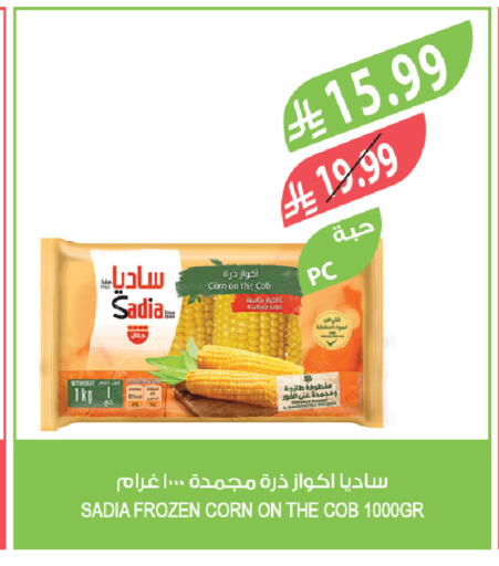 available at Farm  in KSA, Saudi Arabia, Saudi - Al-Kharj