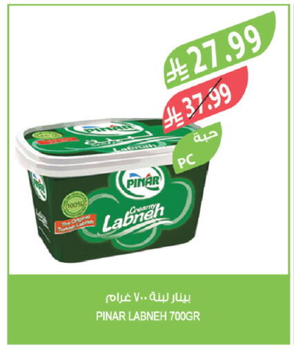 available at Farm  in KSA, Saudi Arabia, Saudi - Al-Kharj
