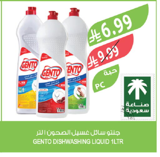 available at Farm  in KSA, Saudi Arabia, Saudi - Al-Kharj