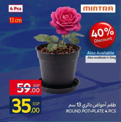 available at كارفور in Egypt - القاهرة