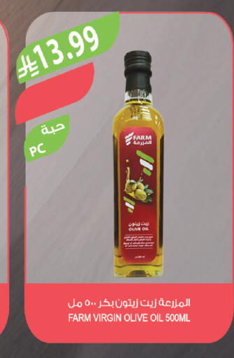available at Farm  in KSA, Saudi Arabia, Saudi - Al-Kharj