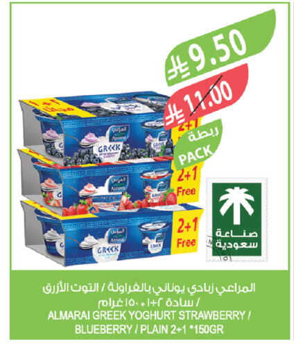 Strawberry Blueberry BlueBerry available at Farm  in KSA, Saudi Arabia, Saudi - Al-Kharj