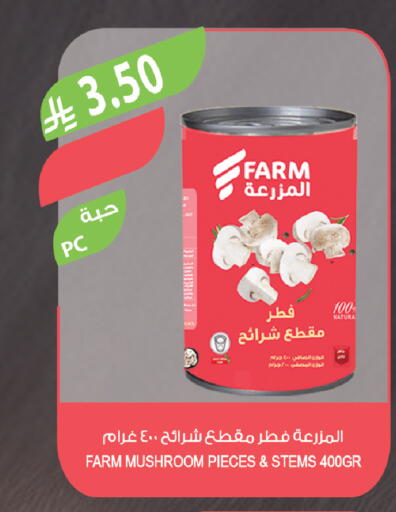 Mushroom available at Farm  in KSA, Saudi Arabia, Saudi - Al-Kharj