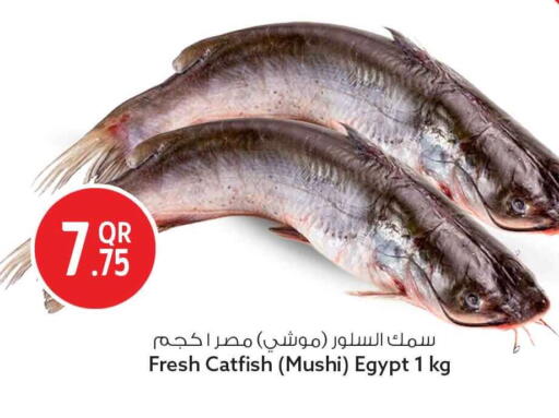 available at سفاري هايبر ماركت in قطر - أم صلال