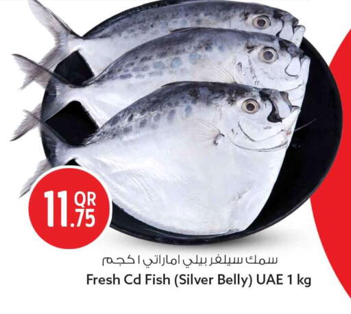 available at Safari Hypermarket in Qatar - Al-Shahaniya