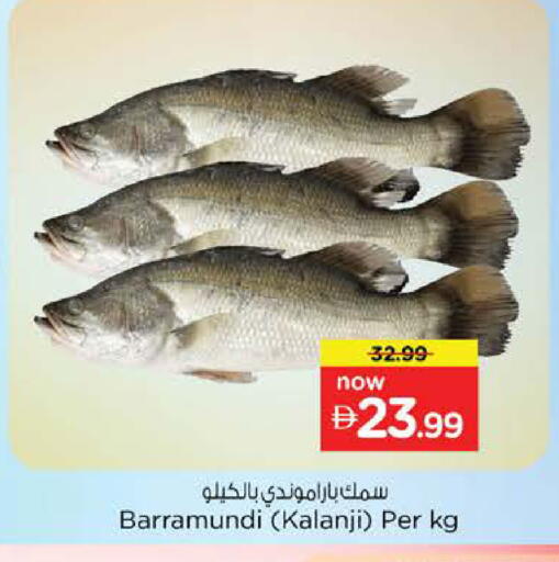 available at Nesto Hypermarket in UAE - Abu Dhabi