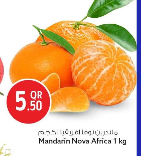 Mandarin available at سفاري هايبر ماركت in قطر - الشحانية