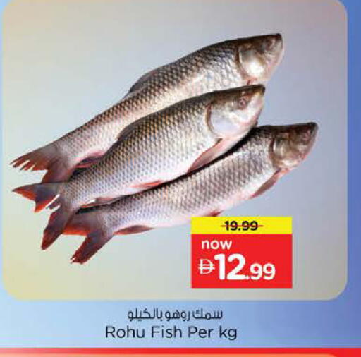 available at Nesto Hypermarket in UAE - Abu Dhabi