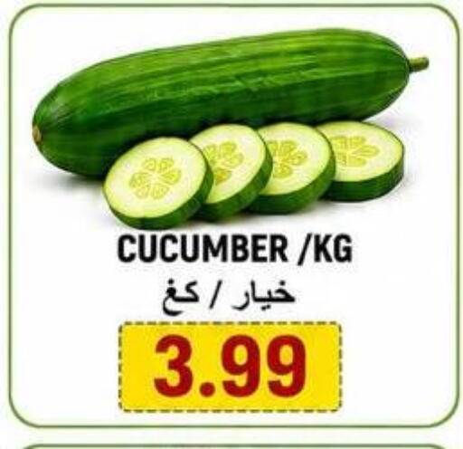 Cucumber available at Rawabi Market Ajman in UAE - Sharjah / Ajman
