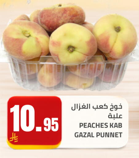 available at Astra Markets in KSA, Saudi Arabia, Saudi - Tabuk