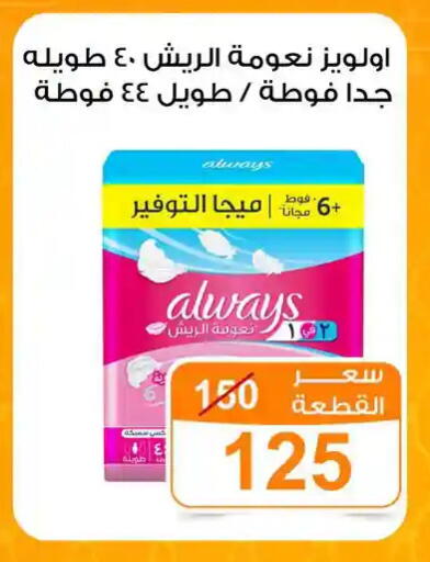 available at جملة ماركت in Egypt - القاهرة