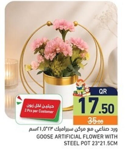 available at أسواق رامز in قطر - الريان