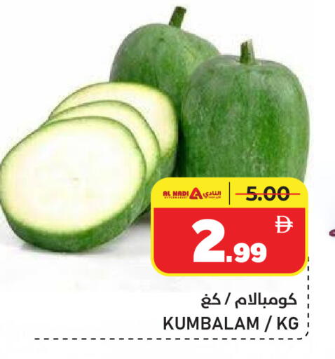 available at AL NADI HYPERMARKET in UAE - Sharjah / Ajman