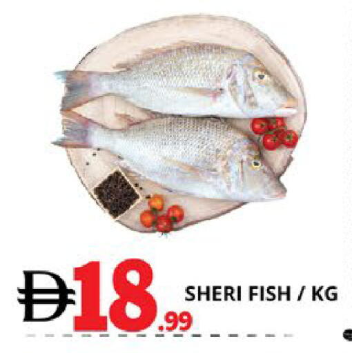 available at EXPRESS AL MADEENA HYPERMARKET LLC in UAE - Abu Dhabi