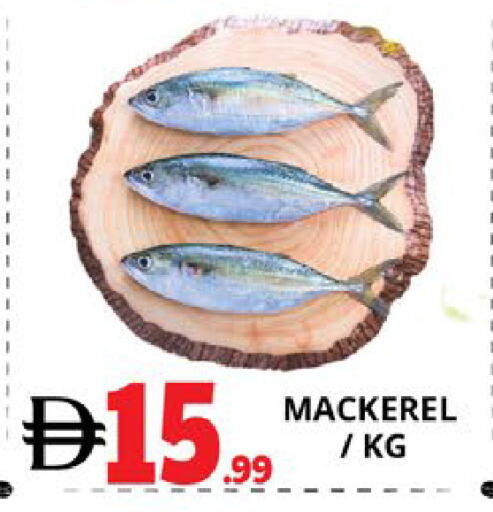 available at EXPRESS AL MADEENA HYPERMARKET LLC in UAE - Abu Dhabi