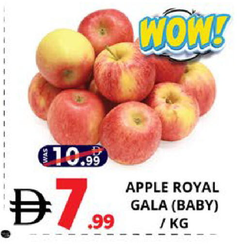 available at EXPRESS AL MADEENA HYPERMARKET LLC in UAE - Abu Dhabi