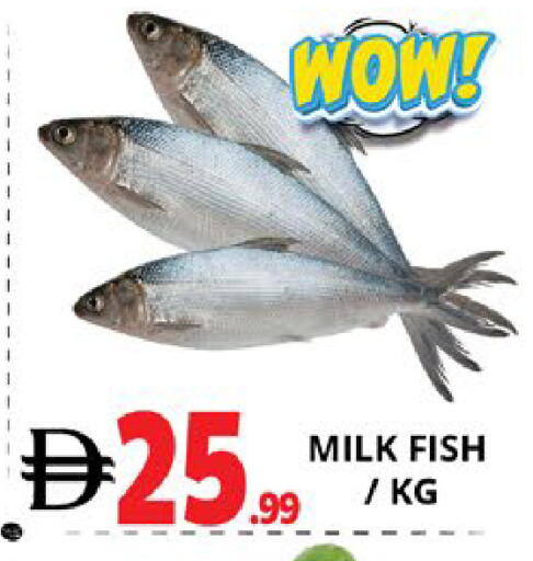 available at EXPRESS AL MADEENA HYPERMARKET LLC in UAE - Abu Dhabi