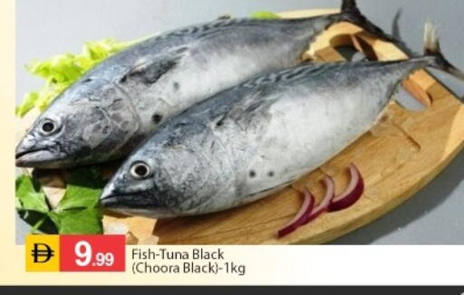 available at سوق طلال in الإمارات العربية المتحدة , الامارات - أبو ظبي