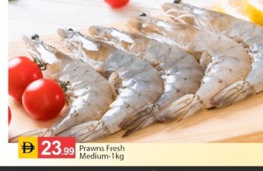 available at سوق طلال in الإمارات العربية المتحدة , الامارات - أبو ظبي