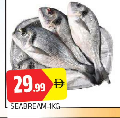 available at المدينة in الإمارات العربية المتحدة , الامارات - الشارقة / عجمان