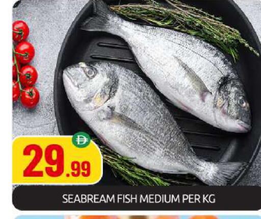 available at بيج مارت in الإمارات العربية المتحدة , الامارات - أبو ظبي