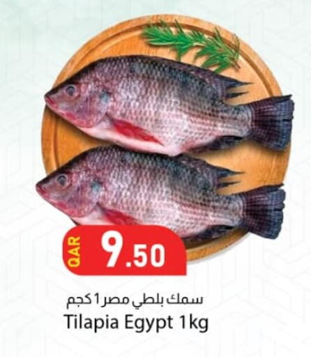 available at دانا ماركت in قطر - الدوحة