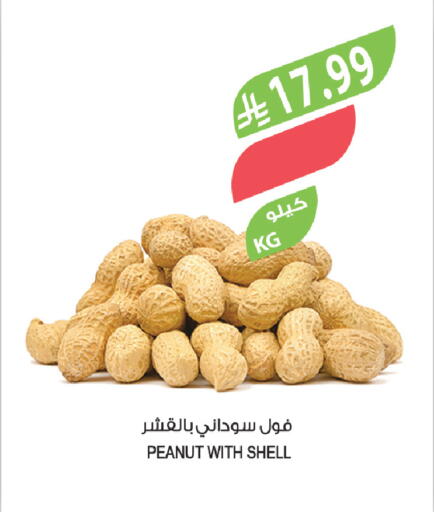 available at Farm  in KSA, Saudi Arabia, Saudi - Al-Kharj