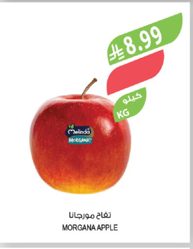 available at المزرعة in مملكة العربية السعودية, السعودية, سعودية - الخبر‎