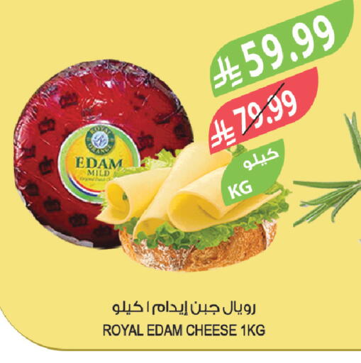available at Farm  in KSA, Saudi Arabia, Saudi - Al-Kharj