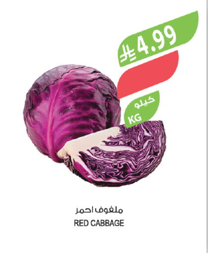 available at المزرعة in مملكة العربية السعودية, السعودية, سعودية - جدة