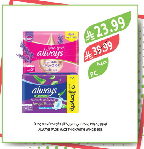 available at المزرعة in مملكة العربية السعودية, السعودية, سعودية - الخرج