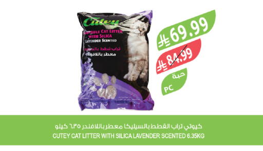 available at Farm  in KSA, Saudi Arabia, Saudi - Jeddah