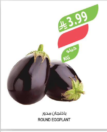 available at Farm  in KSA, Saudi Arabia, Saudi - Al-Kharj