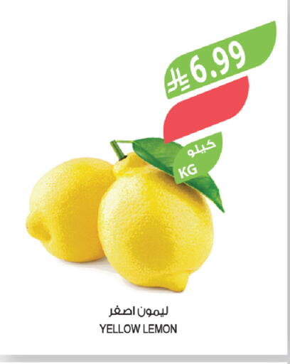 available at Farm  in KSA, Saudi Arabia, Saudi - Jeddah