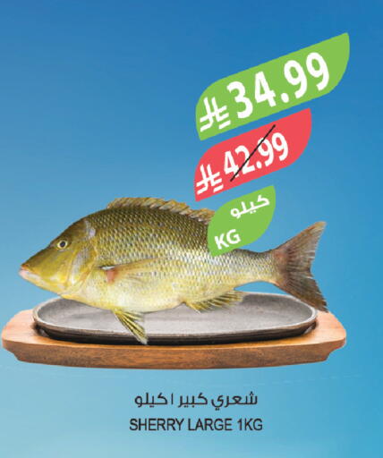 available at Farm  in KSA, Saudi Arabia, Saudi - Jeddah
