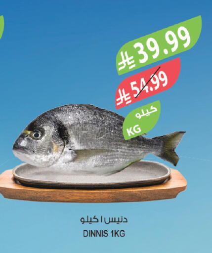available at Farm  in KSA, Saudi Arabia, Saudi - Al Khobar