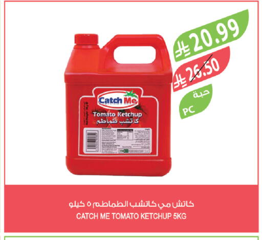 Tomato available at Farm  in KSA, Saudi Arabia, Saudi - Arar