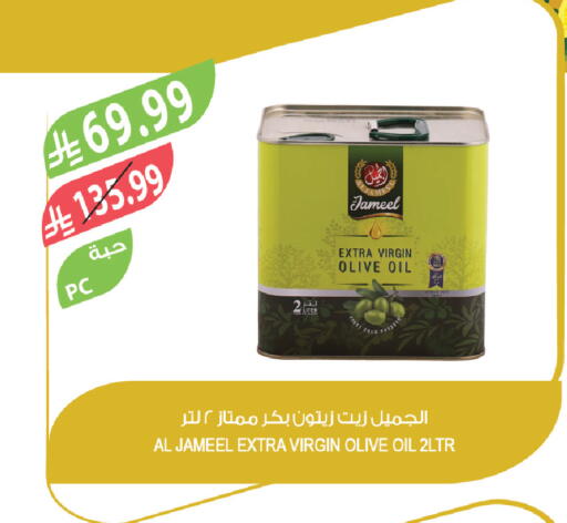 available at Farm  in KSA, Saudi Arabia, Saudi - Arar