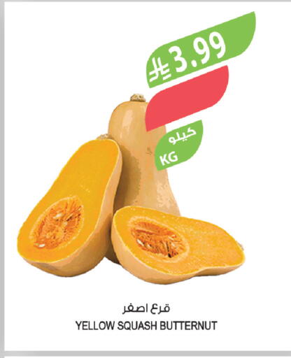 available at المزرعة in مملكة العربية السعودية, السعودية, سعودية - جدة