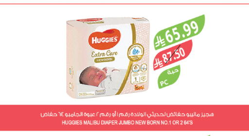 available at Farm  in KSA, Saudi Arabia, Saudi - Qatif