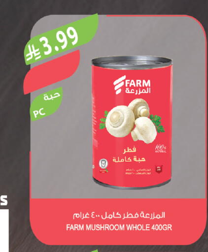 Mushroom available at المزرعة in مملكة العربية السعودية, السعودية, سعودية - عرعر