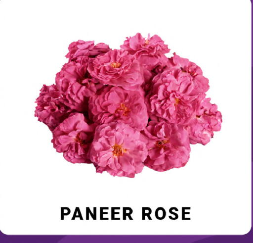 available at MADHOOR SUPERMARKET L.L.C in UAE - Sharjah / Ajman